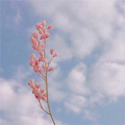 188金宝搏app下载截图