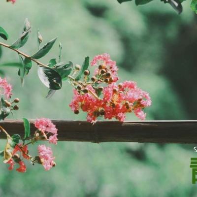 小罗代言米乐体育app下载手机版